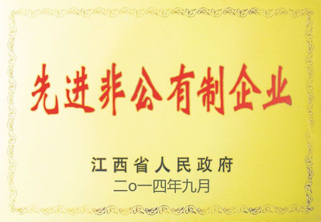 先進非公有制企業(yè)